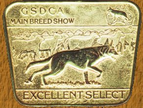 Excellent Select  Show Medal